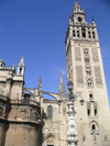 Sevilla, Andalucia, Spain / Espaa: the Giralda, built as an Almohad minaret and the Cathedral - photo by R.Wallace