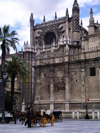 Spain / Espaa - Sevilla: plaza by the Cathedral - photo by R.Wallace