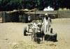 Africa - Sudan - Wadi Halfa - Northern state: local transportation - donkey with cart - photo by Galen Frysinger