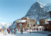 Switzerland / Suisse / Schweiz / Svizzera - Kleine Scheidegg - Berner Oberland: skiers - photo by P.Willis