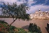 Syria - Hama / Hamah: Ismael Abil Fida mosque / Al-Hayaya mosque and a flooded Orontes (photo: Magmumeh)