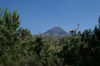 39 Tanzania - Kilimanjaro NP: Marangu Route - day 2 - Mount Kilimanjaro, the Mawenzi Peak seen from the moorlands - photo by A.Ferrari