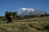 56 Tanzania - Kilimanjaro NP: Marangu Route - day 4 - Mount Kilimanjaro, Kibo, at the start from Horombo hut - photo by A.Ferrari