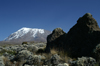 57 Tanzania - Kilimanjaro NP: Marangu Route - day 4 - Mount Kilimanjaro, Kibo, just before leaving the moorlands - photo by A.Ferrari