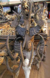 Lom, Togo: Juju market - skulls and horns - all kinds of bizarre animal parts are used by local witches and traditional doctors - worlds biggest fetish market - March des Fetiches Akodessewa - photo by G.Frysinger