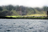 Tristan da Cunha: Edinburgh  from the Ocean - photo by C.Breschi