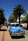Punta del Este, Maldonado dept., Uruguay: an old pick-up truck on a palm tree lined street - photo by S.Dona'