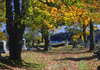 Maine, USA: old cemetery trees with Fall colors - New England Atlantic Coast - photo by C.Lovell