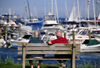 Rockland, Maine, New England, USA: elderly couple on a bench, enjoying the ocean and the boats - photo by M.Torres