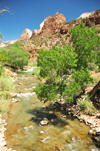 Zion National Park, Utah, USA: Virgin River, a tributary of the Colorado River- photo by M.Torres