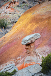 Palo Duro Canyon State Park, Texas, USA: hoodoo on a cliff face - Texas Panhandle - photo by M.Torres