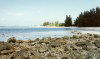 Grand Bahama: coastline of sharp coral (photo by G.Frysinger)