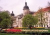 Czech Republic - Pilsen / Plzen (Western Bohemia - Zapadocesk - Plzenck kraj): tulips(photo by M.Torres)