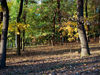 Czech Republic - Litomerice: Autumn / Fall / Podzim - Usti nad Labem Region - photo by J.Kaman