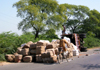 India - Uttar Pradesh: a cyclist passes the scene of a truck accident (photo by J.Kaman)