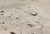 Caribbean sand - beach - Isla Grande, Coln, Panama, Central America - photo by H.Olarte