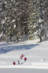 Slovenia - Children playing beside frozen Bohinj Lake - photo by I.Middleton