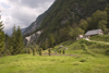 Slovenia - farm hous and grass stacks in the Soca Valley - photo by I.Middleton